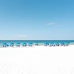 Sandy Bottoms Beachfront Studio On The Sand